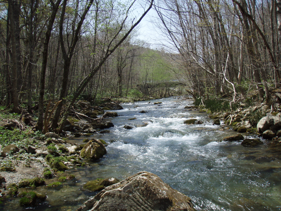 d0283357_20473284.jpg