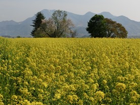 b0218664_1854689.jpg