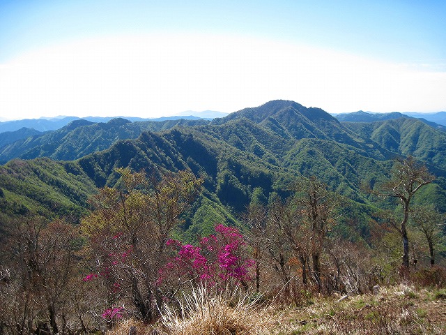 c0219866_19171570.jpg