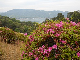 e0175370_8574499.jpg