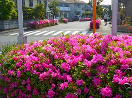 e0175370_903146.jpg