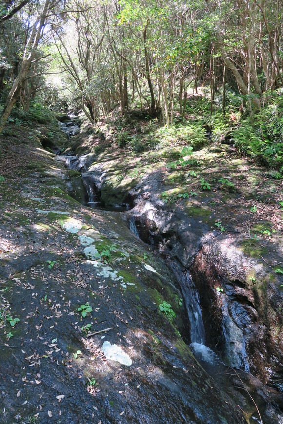 e0292172_2050209.jpg