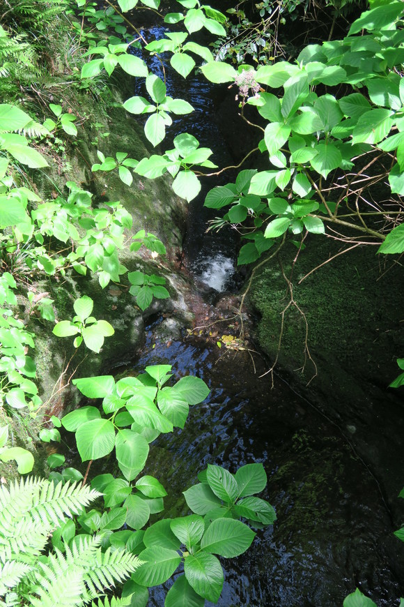 e0292172_20572173.jpg