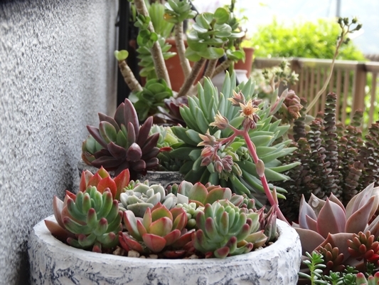 e0264374_13174202.jpg