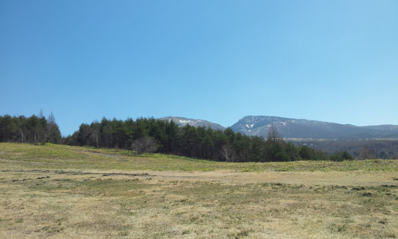 e0165577_15543575.jpg