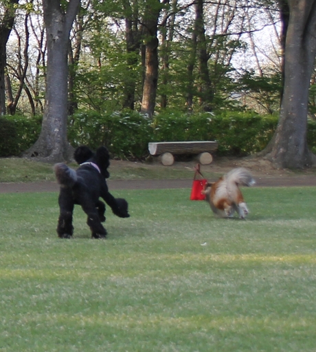 c0283778_1651019.jpg