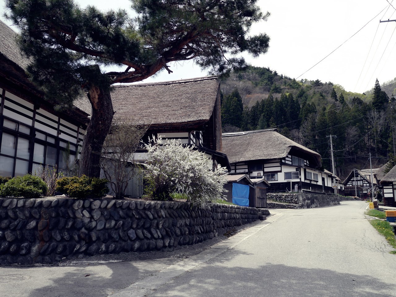 e0167780_14503256.jpg