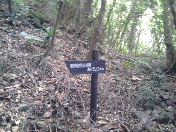 f0041284_23471667.jpg