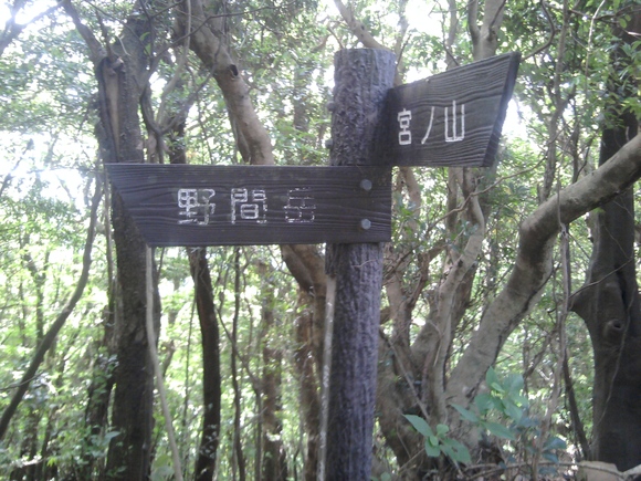 f0041284_23542016.jpg