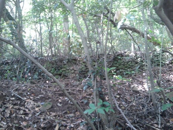 f0041284_23573511.jpg