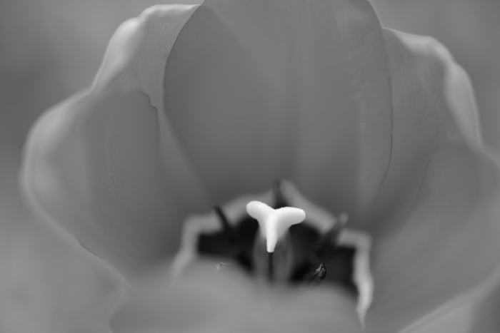 c0246290_22275219.jpg