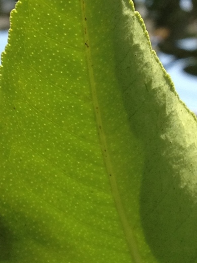 b0349795_13041006.jpg