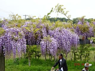 c0149195_21293513.jpg