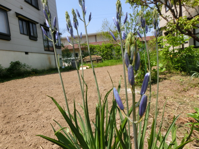 a0203003_2010457.jpg