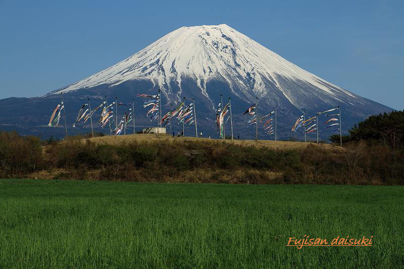 a0188405_12185566.jpg