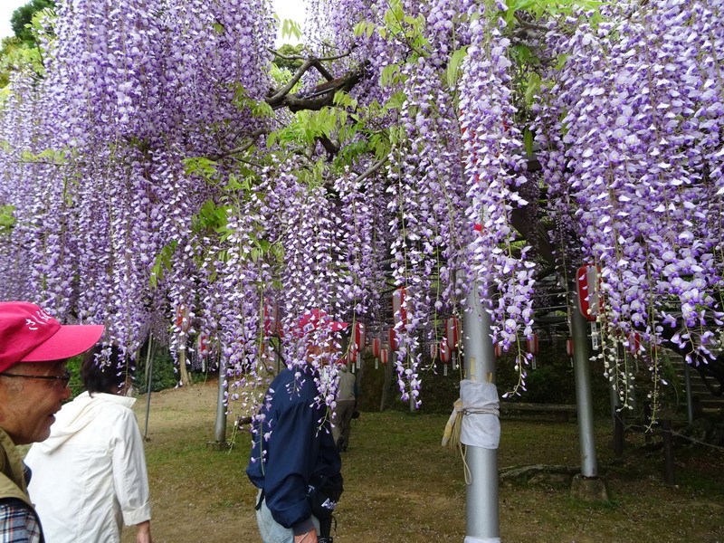 b0052108_0565816.jpg