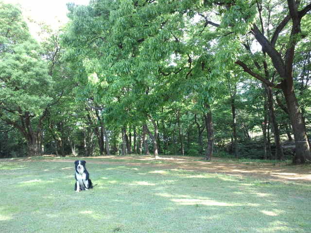 d0224111_08534738.jpg