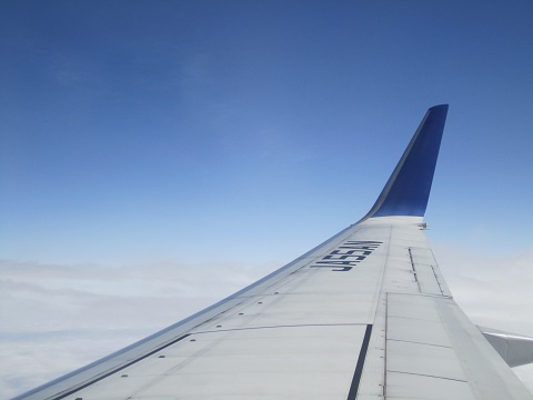 e0041217_1539295.jpg