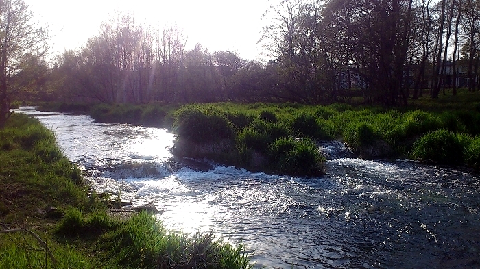 f0037518_559247.jpg