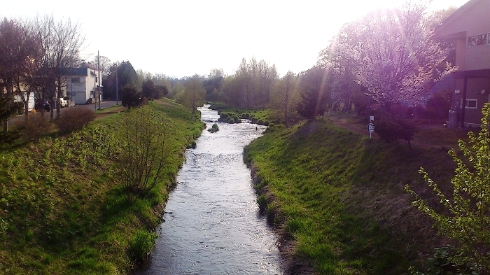 f0037518_5594484.jpg