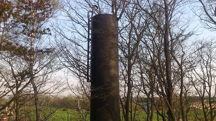 f0037518_60226.jpg