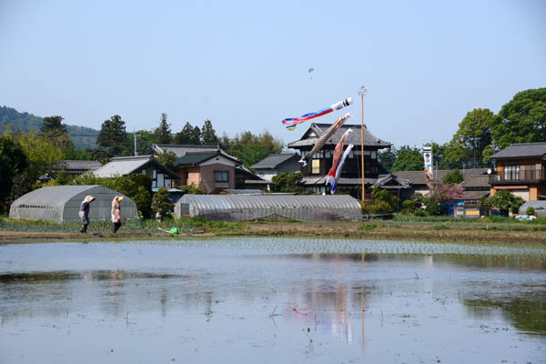 f0147025_19153089.jpg