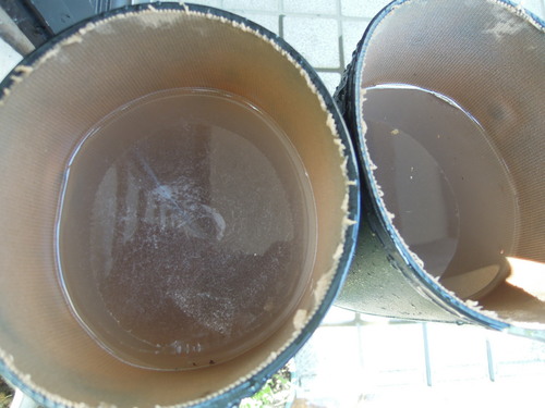 e0147226_22375634.jpg