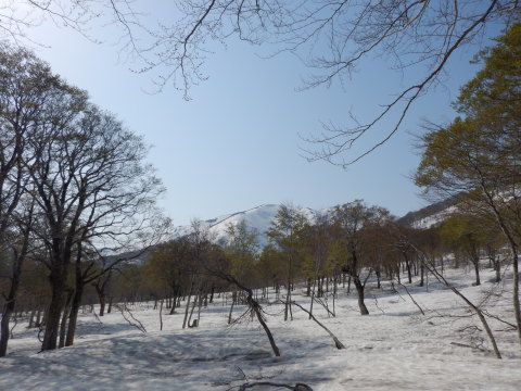 f0118332_23174603.jpg
