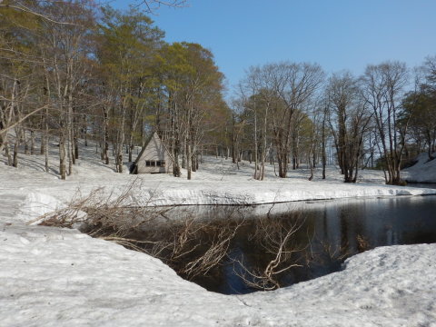 f0118332_23184844.jpg