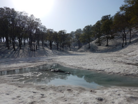 f0118332_23190705.jpg