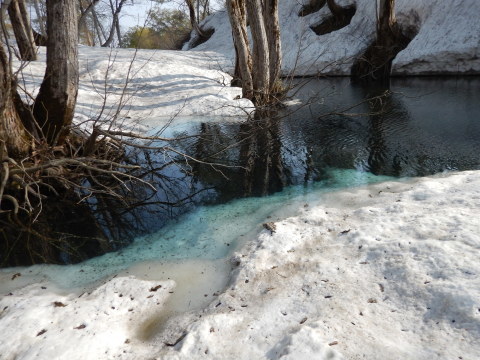 f0118332_23192193.jpg