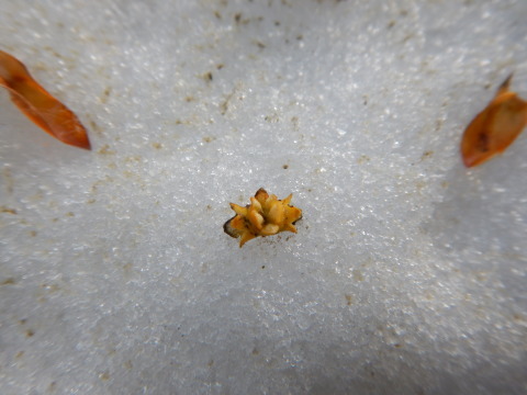 f0118332_23202176.jpg