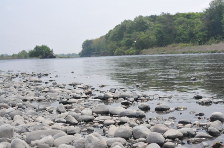 c0133133_1617927.jpg