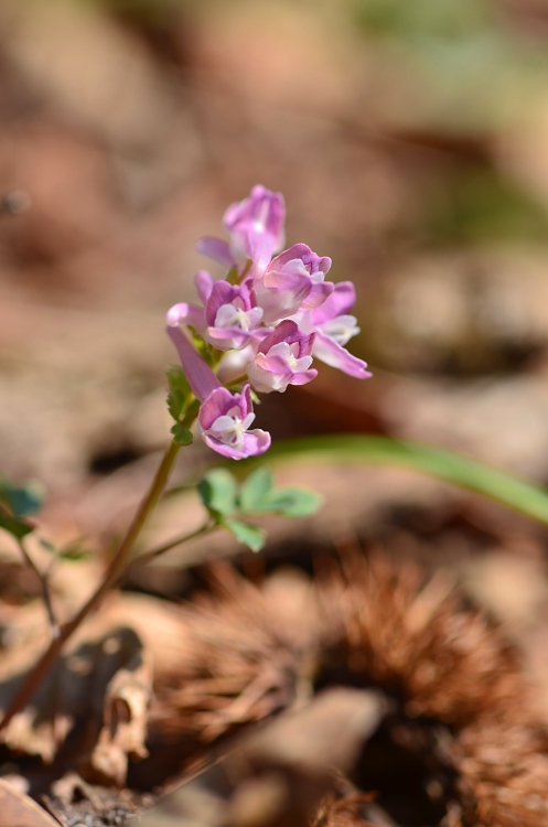 b0236334_205205.jpg