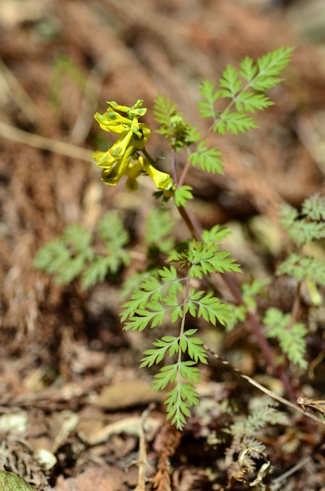 b0236334_2095379.jpg