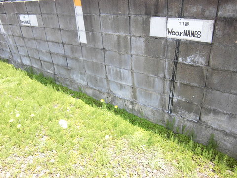 e0169535_1643925.jpg
