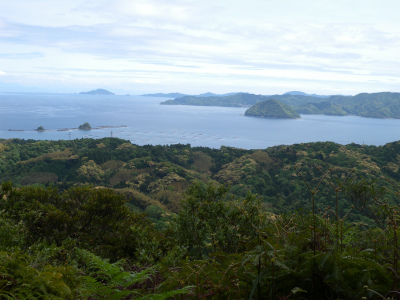 e0272335_4312257.jpg