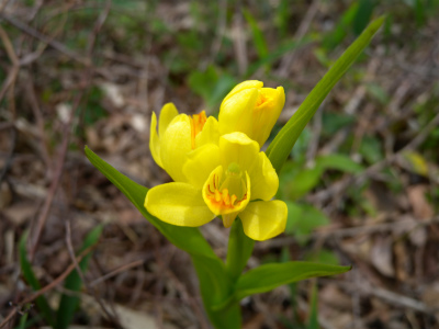 e0272335_44836.jpg