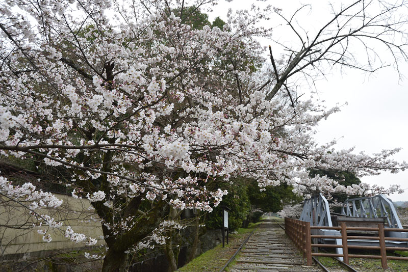 b0042837_2112563.jpg