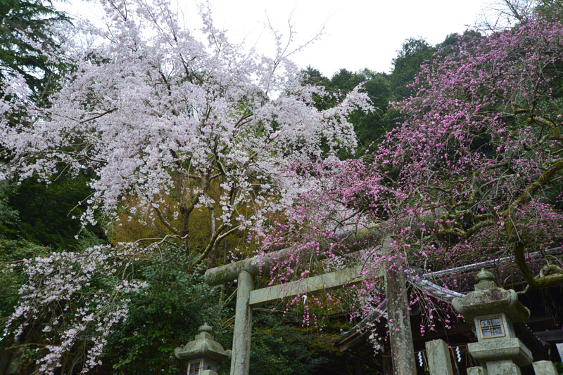 b0042837_2113291.jpg