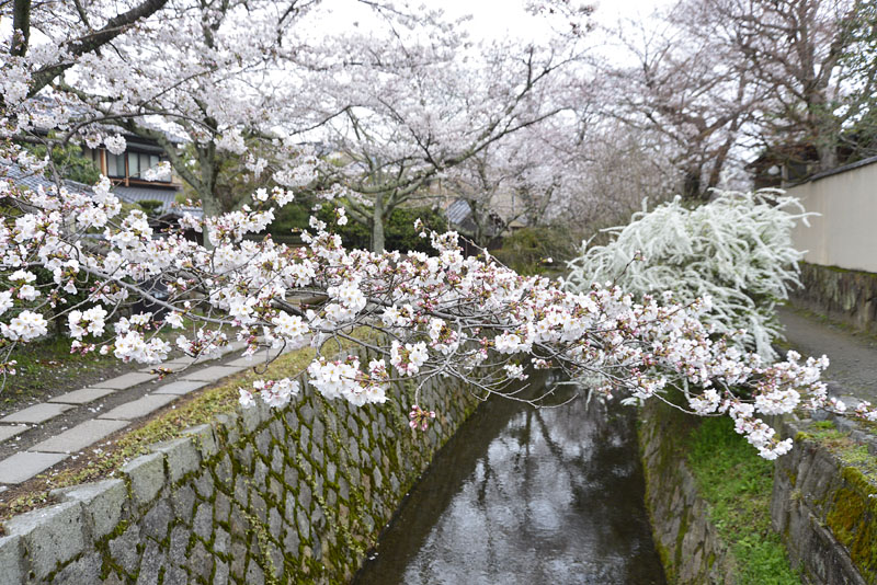 b0042837_21162647.jpg