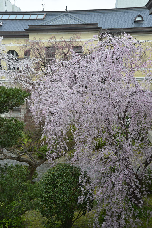 b0042837_21263698.jpg