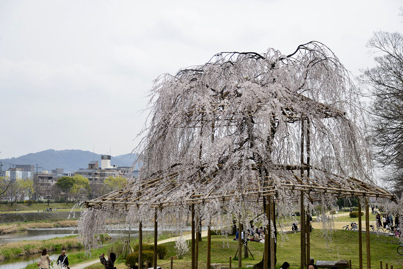 b0042837_21323351.jpg