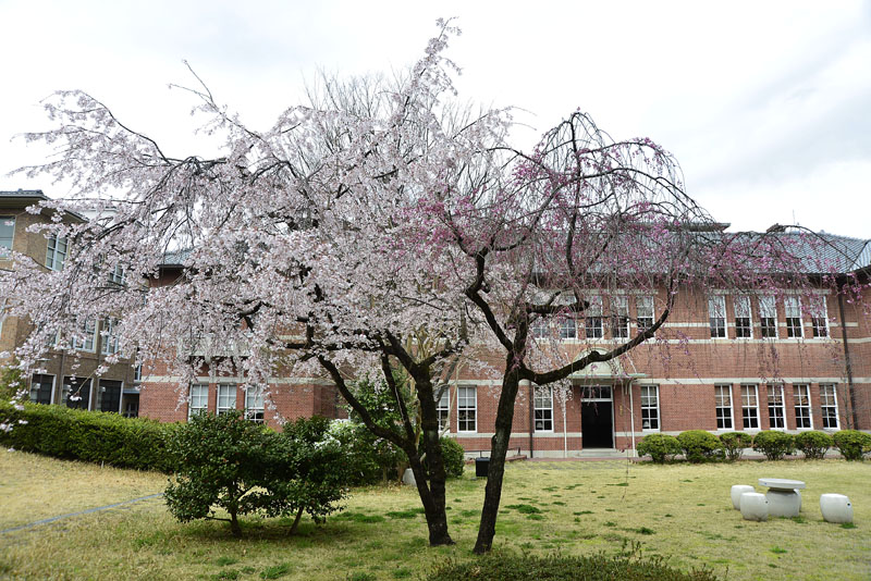 b0042837_21352549.jpg
