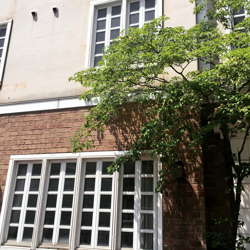 b0057140_1957586.jpg