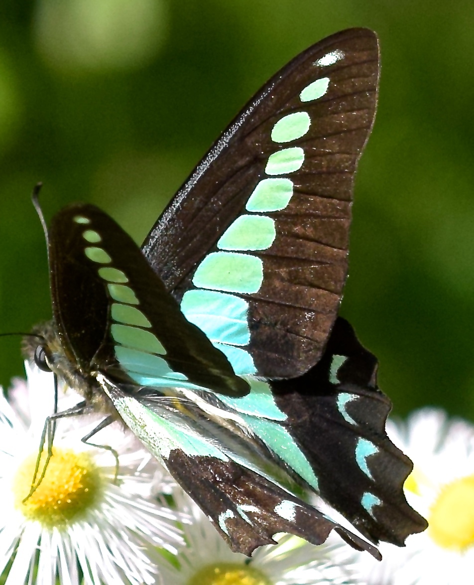 d0285540_23334190.jpg