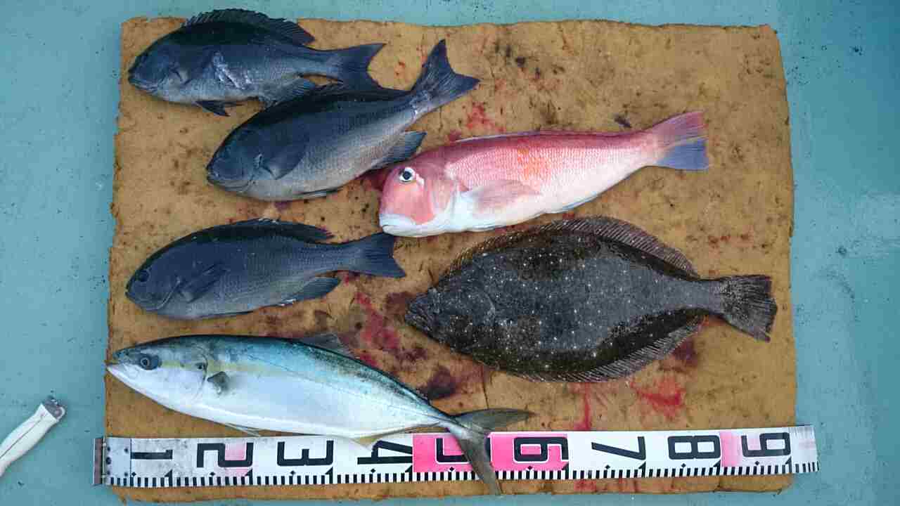 a0248152_1959887.jpg