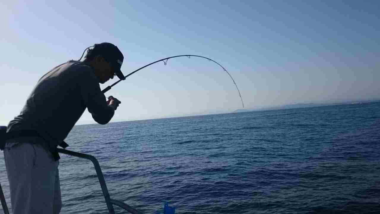 a0248152_2012569.jpg