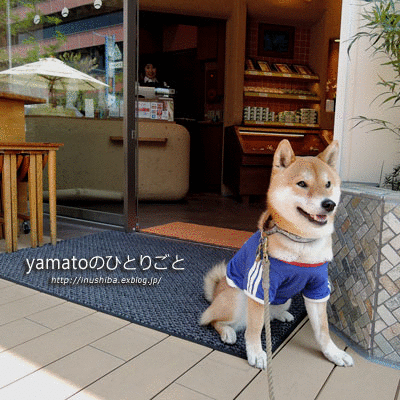 a0286855_6331395.gif