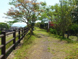 a0057057_12385365.png